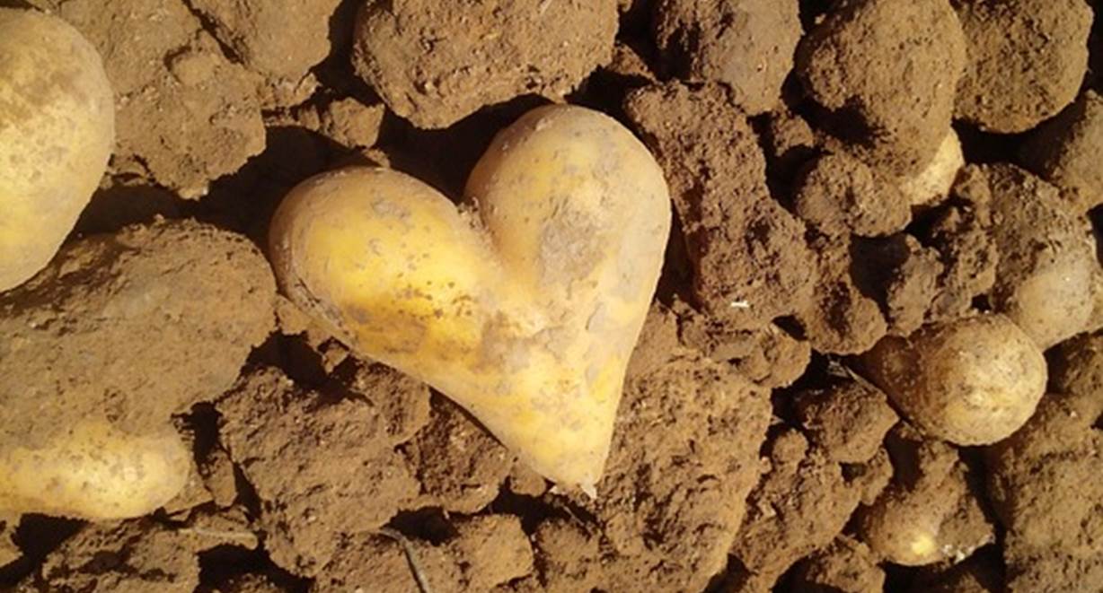 Steun ons als bedrijf