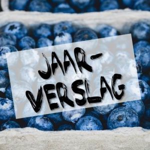 Jaarverslag
