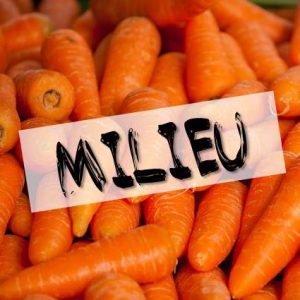 Milieu