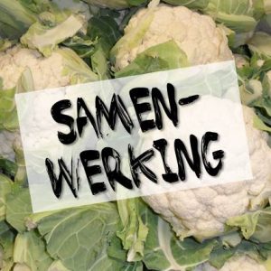 Samenwerking